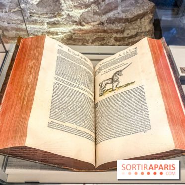 Licornes ! : l’exposition du Musée de Cluny à Paris explore le mythe de la créature légendaire