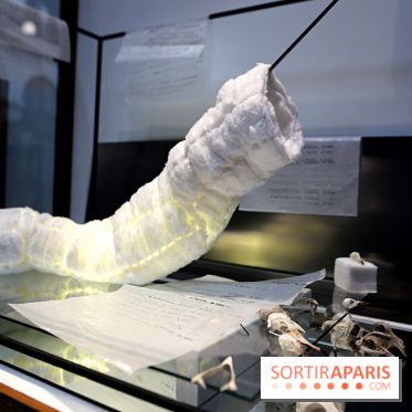 Exposition Clair-obscur à la Bourse de Commerce, nos photos