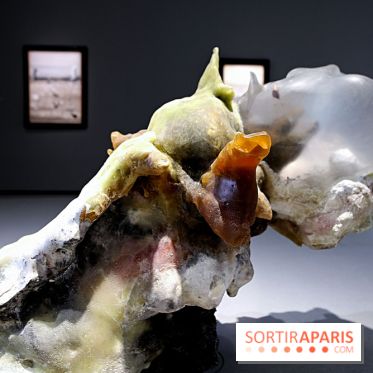 Exposition Clair-obscur à la Bourse de Commerce, nos photos