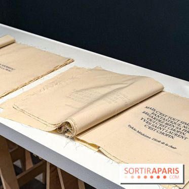 Le Musée Vivant de la Mode d'Olivier Saillard : exposition-performance à la Fondation Cartier - IMG 6111