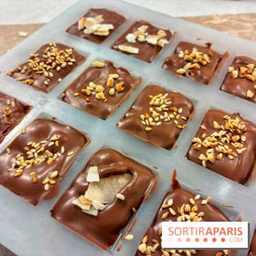 Atelier fabrication de tablettes Mon Jardin Chocolaté