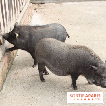 La Bretagne au Jardin d'Acclimatation