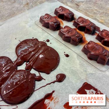 Atelier oursons en guimauve - IMG 4060