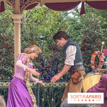 Adventure Way Adventure Bay Disney Adventure World Disneyland Paris Raiponce Flynn