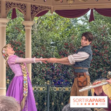 Adventure Way Adventure Bay Disney Adventure World Disneyland Paris Raiponce Flynn