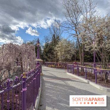 Adventure Way Adventure Bay Disney Adventure World Disneyland Paris Jardin Raiponce