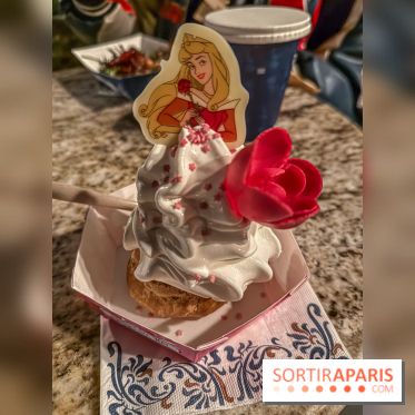 Adventure Way et Adventure Bay Disney Adventure World Disneyland Paris - IMG 4894