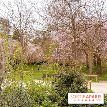 Les cerisiers du parc Martin Luther King - Clichy - Batignoles