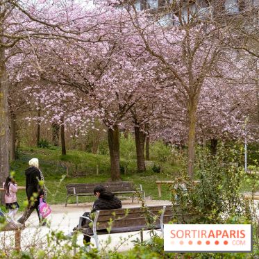 Les cerisiers du parc Martin Luther King - Clichy - Batignoles
