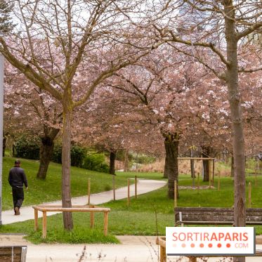 Les cerisiers du parc Martin Luther King - Clichy - Batignoles