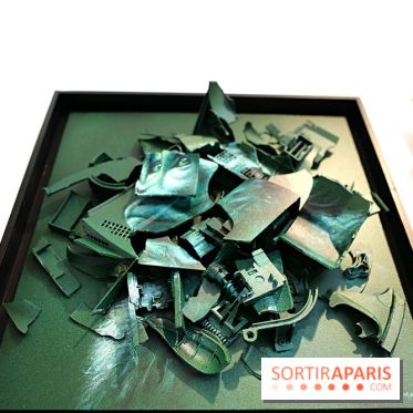 Street Nature Forte 2026, nos photos de l'expo à découvrir dans le 10e à Paris