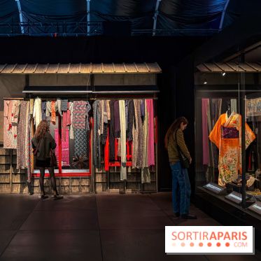 Passion Japon : exposition, installations immersives et street food japonaise à La Villette, à Paris - IMG 7295