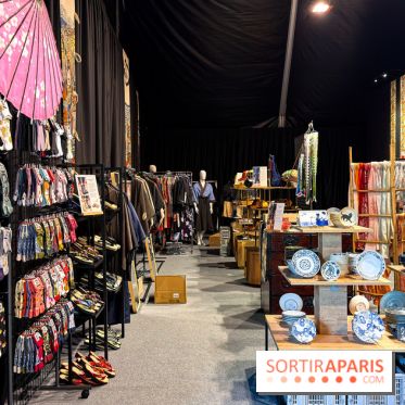 Passion Japon : exposition, installations immersives et street food japonaise à La Villette, à Paris - IMG 7533