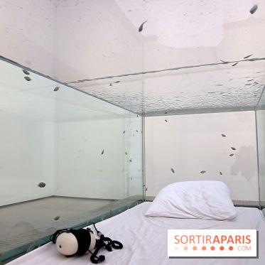 Exposition Glass Slipper d'Ariana Papademetropoulos à la galerie Thaddaeus Ropac Marais, nos photos