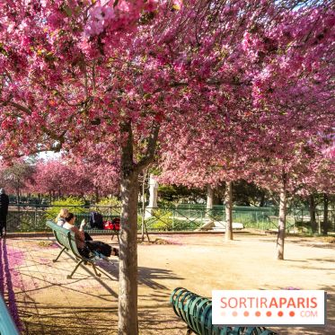 Les pommiers et cerisiers en fleurs du Jardin de Reuilly, Parc de Reuilly à Paris 12e - photos  - détente