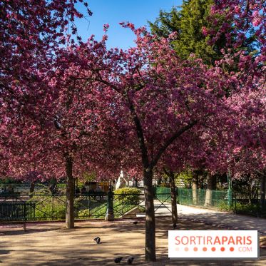 Les pommiers et cerisiers en fleurs du Jardin de Reuilly, Parc de Reuilly à Paris 12e - photos