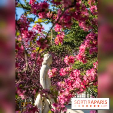Les pommiers et cerisiers en fleurs du Jardin de Reuilly, Parc de Reuilly à Paris 12e - photos