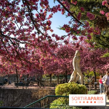 Les pommiers et cerisiers en fleurs du Jardin de Reuilly, Parc de Reuilly à Paris 12e - photos