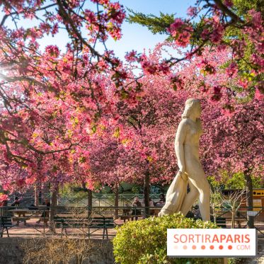 Les pommiers et cerisiers en fleurs du Jardin de Reuilly, Parc de Reuilly à Paris 12e - photos  - visuel