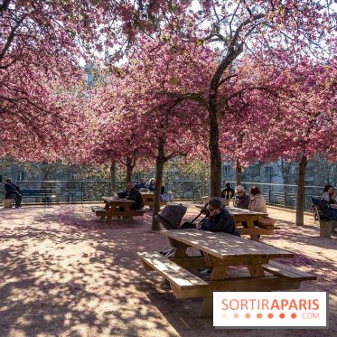 Les pommiers et cerisiers en fleurs du Jardin de Reuilly, Parc de Reuilly à Paris 12e - photos  - pique nique 