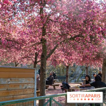 Les pommiers et cerisiers en fleurs du Jardin de Reuilly, Parc de Reuilly à Paris 12e - photos  - jouer