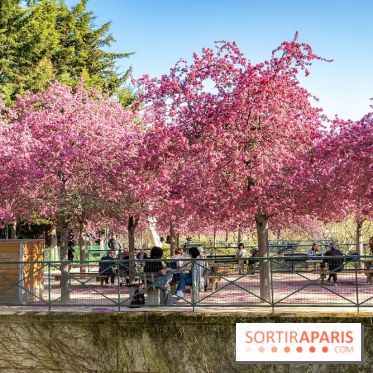 Les pommiers et cerisiers en fleurs du Jardin de Reuilly, Parc de Reuilly à Paris 12e - photos  - table pique nique 