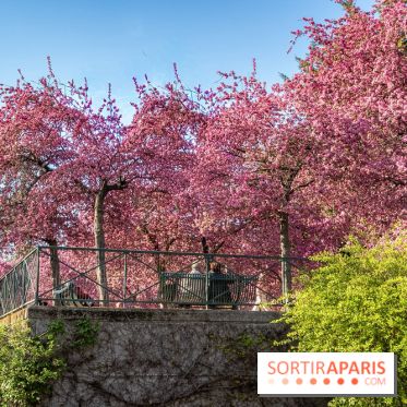 Les pommiers et cerisiers en fleurs du Jardin de Reuilly, Parc de Reuilly à Paris 12e - photos