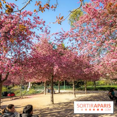 Les pommiers et cerisiers en fleurs du Jardin de Reuilly, Parc de Reuilly à Paris 12e - photos  - bosquet