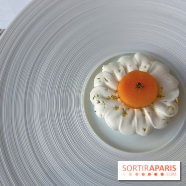 Alliance - Dessert mangue, ananas, glace thym citron, meringue acidulée 