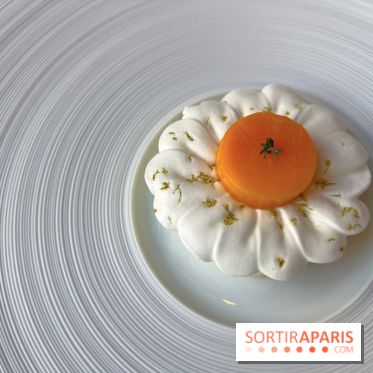 Alliance - Dessert mangue, ananas, glace thym citron, meringue acidulée 