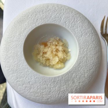 Alliance - Pré-dessert autour de l'agrume, bergamote, granité de bière blanche et citron 