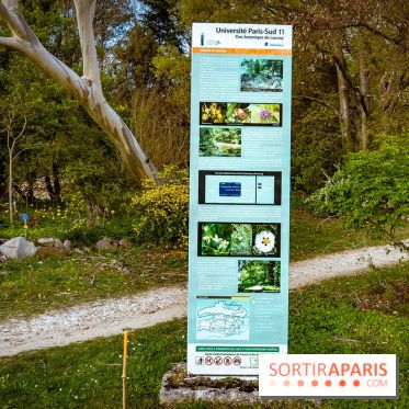 Le jardin botanique de Launay et arboretum de l'Université Paris Saclay à Orsay - les photos - A7C09557