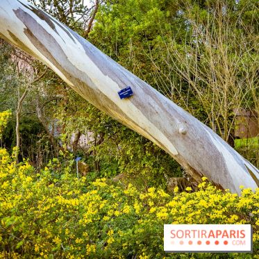 Le jardin botanique de Launay et arboretum de l'Université Paris Saclay à Orsay - les photos