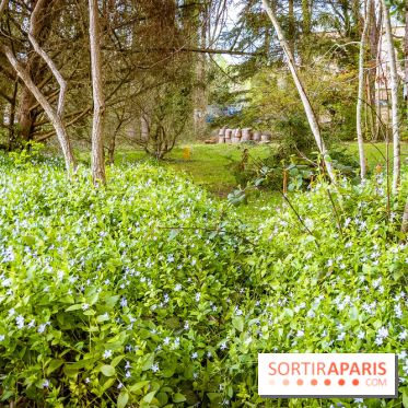 Le jardin botanique de Launay et arboretum de l'Université Paris Saclay à Orsay - les photos - A7C09559