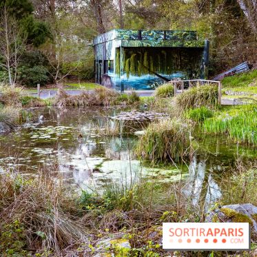 Le jardin botanique de Launay et arboretum de l'Université Paris Saclay à Orsay - les photos - A7C09562