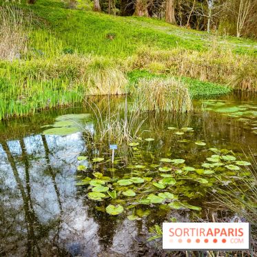 Le jardin botanique de Launay et arboretum de l'Université Paris Saclay à Orsay - les photos - A7C09564