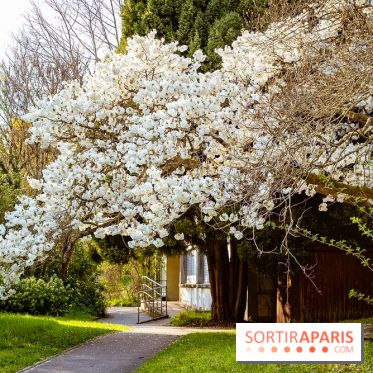 Le jardin botanique de Launay et arboretum de l'Université Paris Saclay à Orsay - les photos