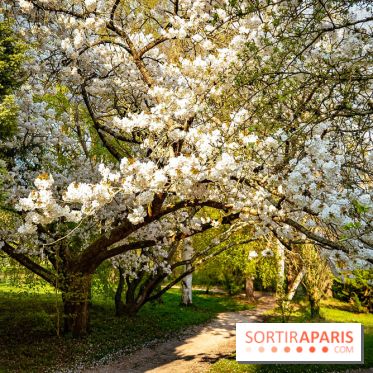 Le jardin botanique de Launay et arboretum de l'Université Paris Saclay à Orsay - les photos