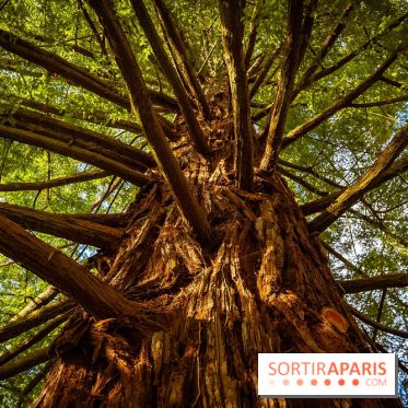 Le jardin botanique de Launay et arboretum de l'Université Paris Saclay à Orsay - les photos