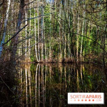 Le jardin botanique de Launay et arboretum de l'Université Paris Saclay à Orsay - les photos