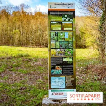 Le jardin botanique de Launay et arboretum de l'Université Paris Saclay à Orsay - les photos - A7C09599