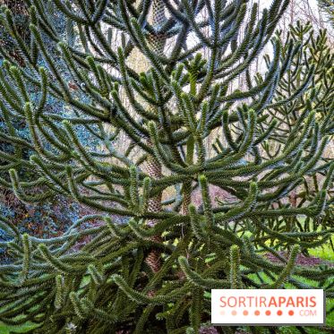 Le jardin botanique de Launay et arboretum de l'Université Paris Saclay à Orsay - les photos