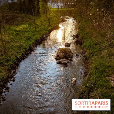Le jardin botanique de Launay et arboretum de l'Université Paris Saclay à Orsay - les photos - A7C09618