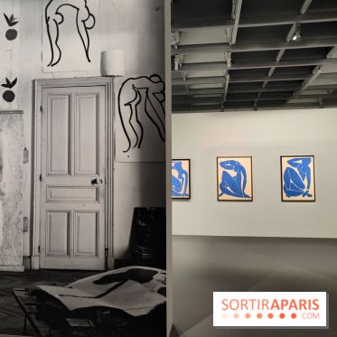 Matisse 1941-1954 : la grande exposition rétrospective sur le peintre incontournable au Grand Palais - fotor 1774268336719