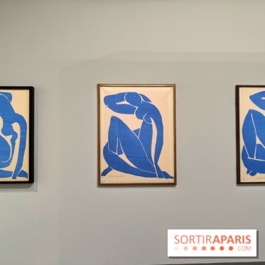 Matisse 1941-1954 : la grande exposition rétrospective sur le peintre incontournable au Grand Palais - fotor 1774268273132