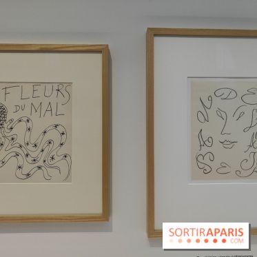 Matisse 1941-1954 : la grande exposition rétrospective sur le peintre incontournable au Grand Palais - fotor 1774268135401