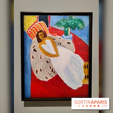 Matisse 1941-1954 : la grande exposition rétrospective sur le peintre incontournable au Grand Palais - fotor 1774267876714