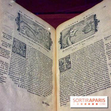 Cartes imaginaires - IMG 4289