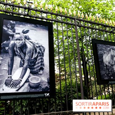 Fragilités & Résiliences, nos photos de l'expo dévoilée sur les grilles du Jardin du Luxembourg