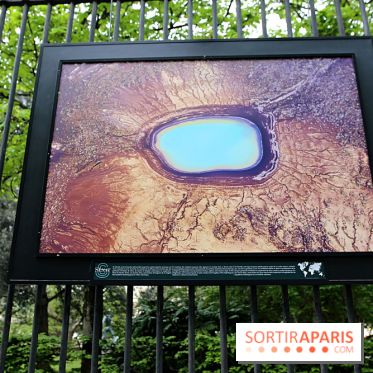 Fragilités & Résiliences, nos photos de l'expo dévoilée sur les grilles du Jardin du Luxembourg